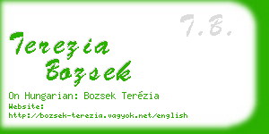 terezia bozsek business card